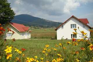 Фото Виллы Casa Ana Vatra Dornei г. Dealu Floreni