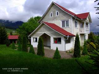 Фото Виллы Casa Andrei Vatra Dornei г. Dealu Floreni